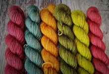 Load image into Gallery viewer, Apples & Acorns Litmus cowl, knitting kit.