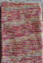 Load image into Gallery viewer, Sock tube Multi reds.