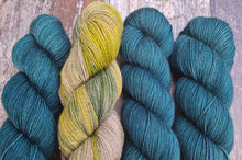 Load image into Gallery viewer, All spruced up, superwashed merino yak nylon