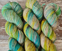 Load image into Gallery viewer, Parklife,superwashed merino yak nylon