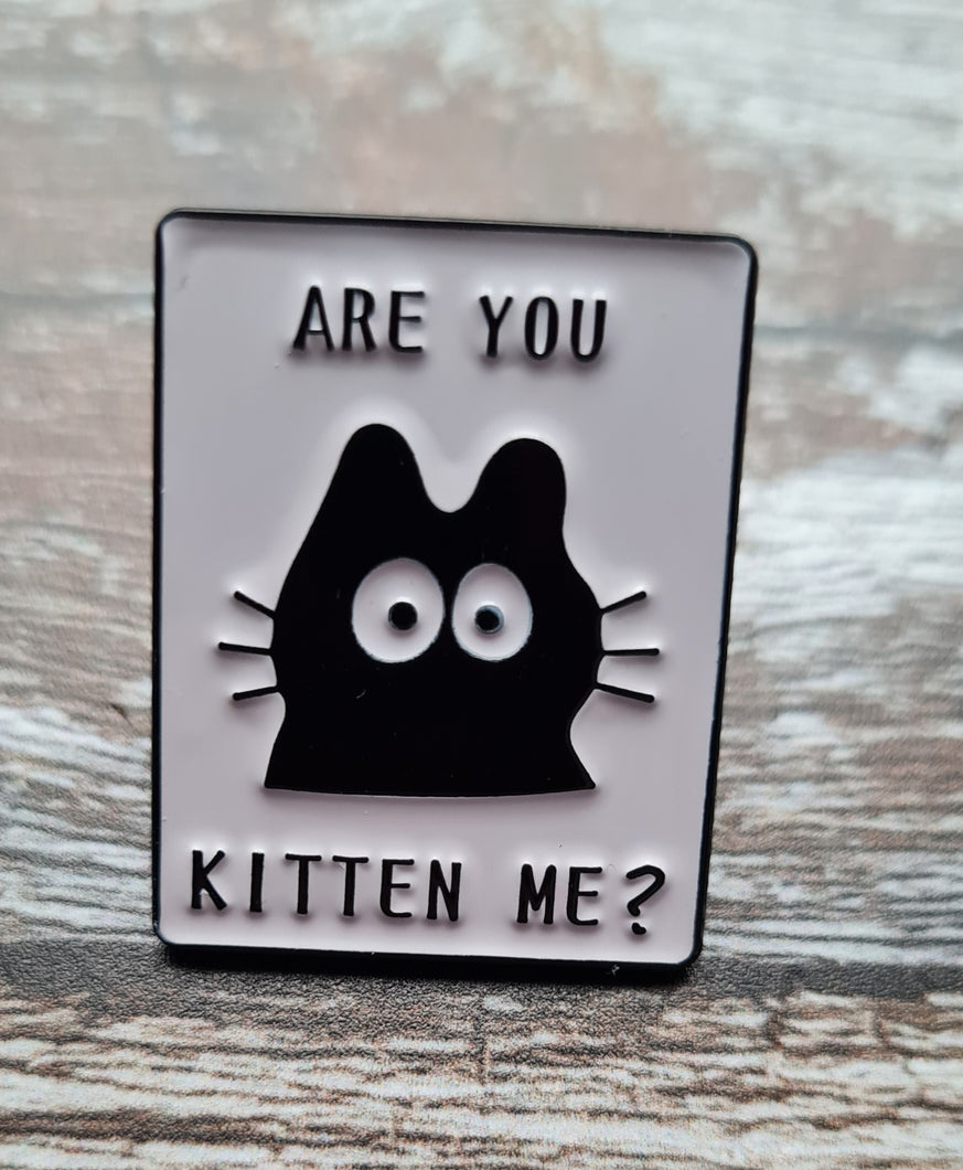 Pin badge.Kitten
