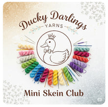 Load image into Gallery viewer, Monthly mini skein club.