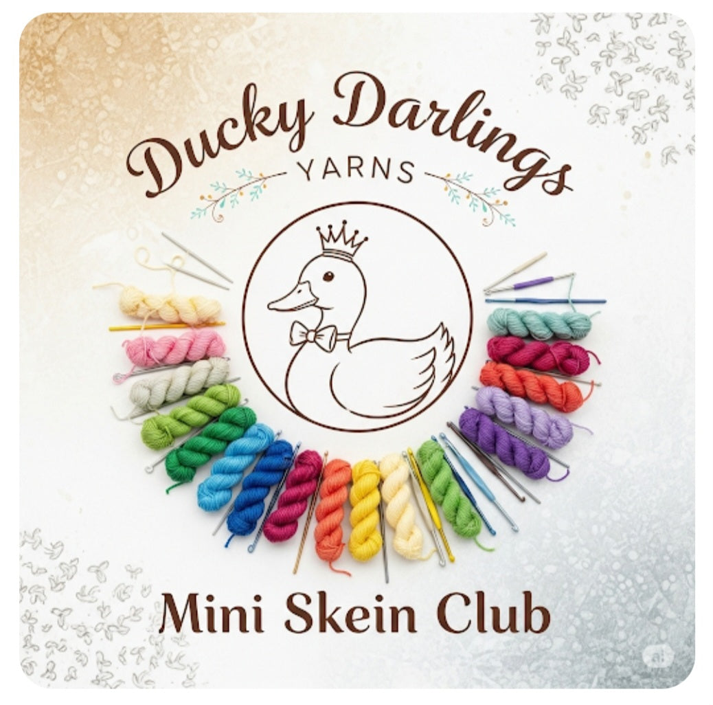 Monthly mini skein club.