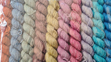 Load image into Gallery viewer, Pot pourri mini x 10x 20g.