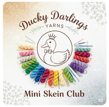 Load image into Gallery viewer, December 1 Monthly mini skein club.4ply.