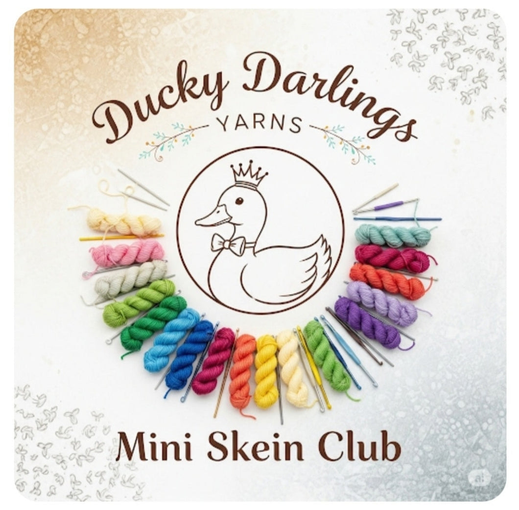 December 1 Monthly mini skein club.4ply.