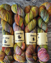 Load image into Gallery viewer, Parrot fashion 4ply