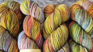 Parrot fashion 4ply