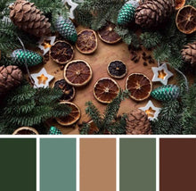 Load image into Gallery viewer, NOVEMBER 1 Monthly mini skein club.Dk.