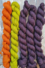 Load image into Gallery viewer, Pumpkin harvest, Sock set, 100g kit,complete with pattern.