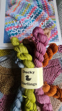 Load image into Gallery viewer, Pre order,Bloomfield bunting yarn bundle.