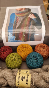 Wonderwall yarn kit.