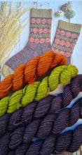 Load image into Gallery viewer, Pumpkin harvest, Sock set, 100g kit,complete with pattern.