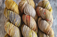 Load image into Gallery viewer, Fossil, superwashed merino yak nylon