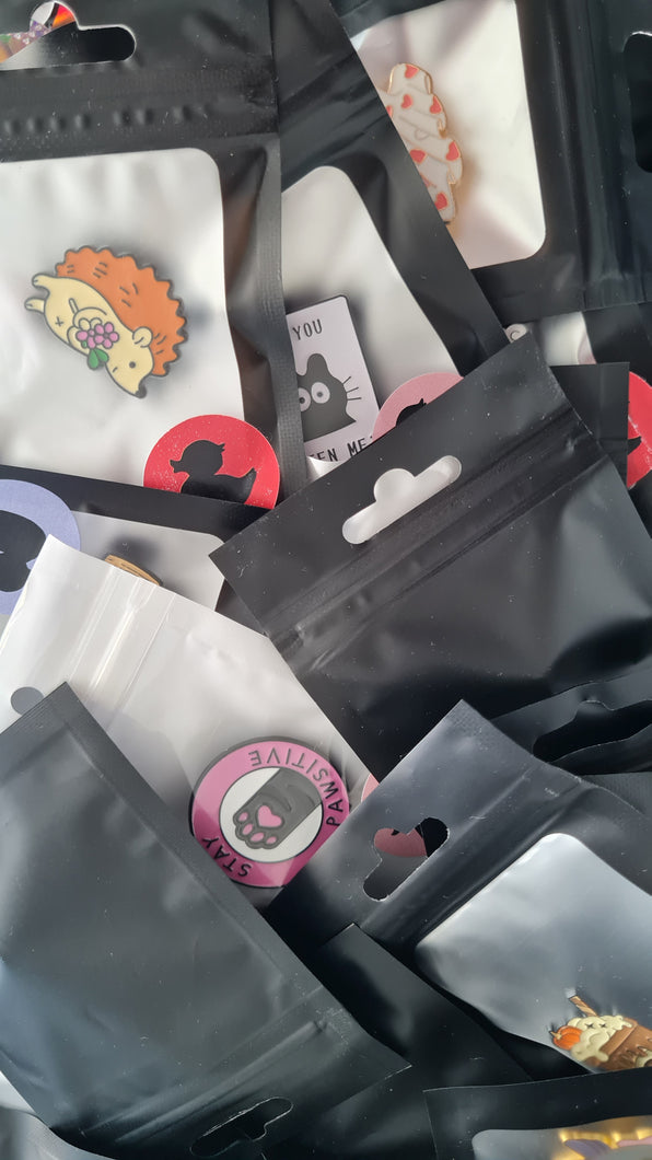 Mystery pins x4