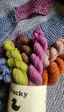 Load image into Gallery viewer, Pre order,Bloomfield bunting yarn bundle.
