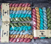 Load image into Gallery viewer, Double knit mini selection, mini skeins pack