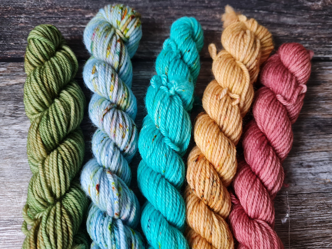 Double knit mini selection, mini skeins pack